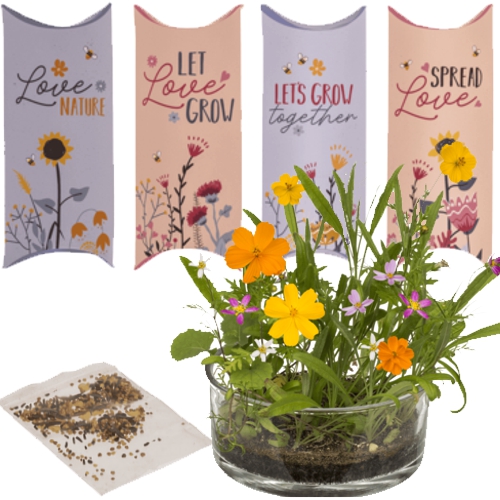 Blumenwiese - Set aus Blumenerde und Samen