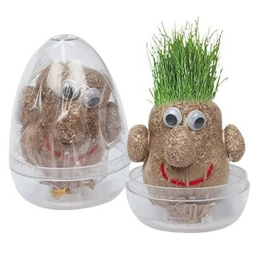 Lustiger Graskopf