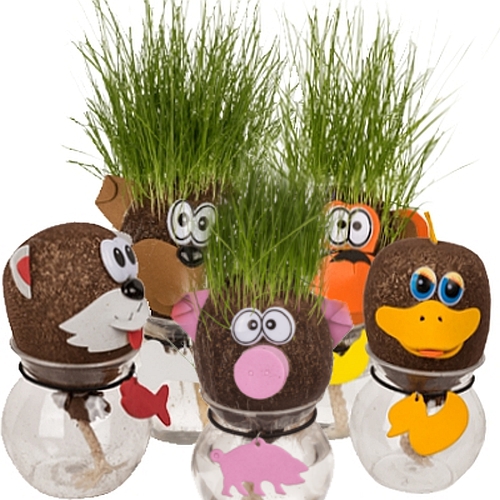 Lustiger Tier-Graskopf