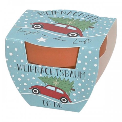 Mini-Anzuchtset Weihnachtsfichte